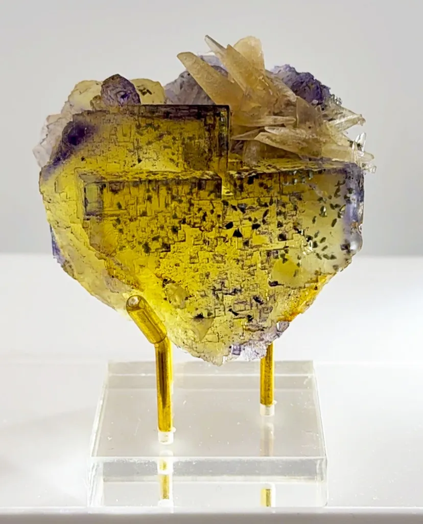 Illinois Gold meets violet geometry image