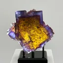 Illinois Minerva No.1 Fluorite at its absolute finest - image 2