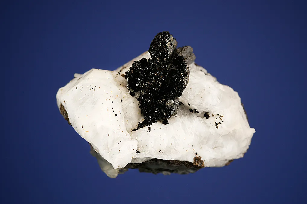 Ilmenite on Catapleiite - image 2