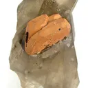 Ilmenite on Smoky Quartz - image 2