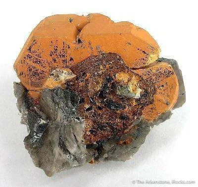 Ilmenite on Smoky Quartz, With Ferberite and Topaz image