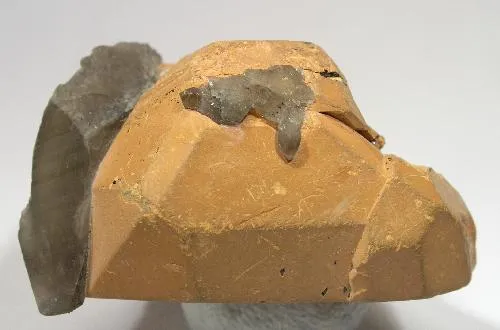 Ilmenite, Quartz (Var: Smoky Quartz) image