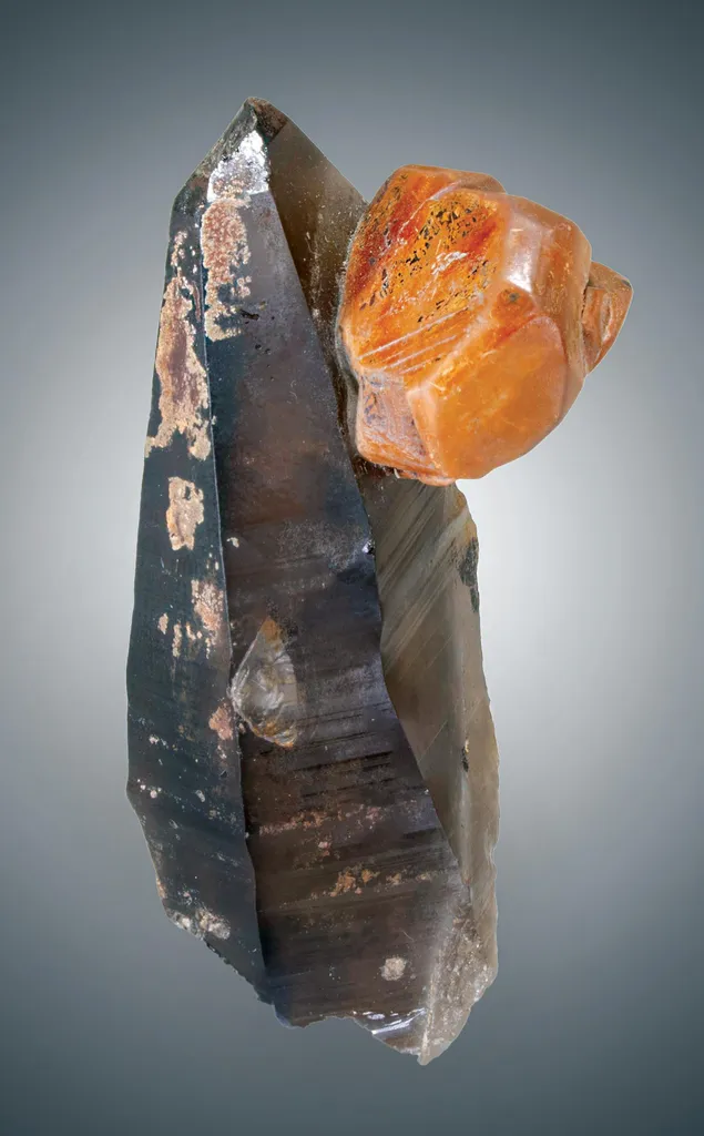 Ilmenite, Smoky Quartz image