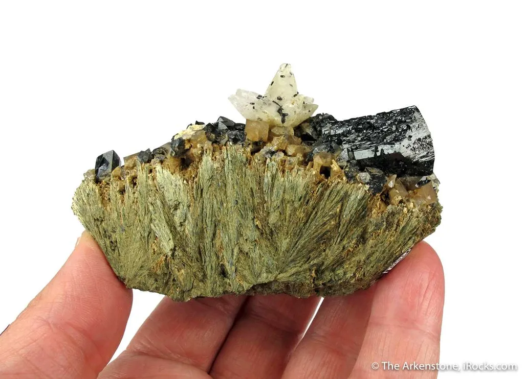 Ilvaite, Calcite, Quartz on Hedenbergite - image 5