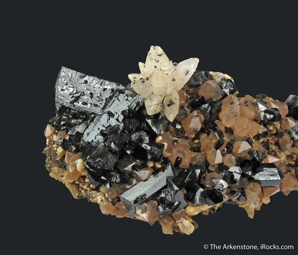 Ilvaite, Calcite, Quartz on Hedenbergite image