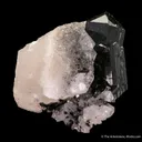 Ilvaite on Calcite - image 4
