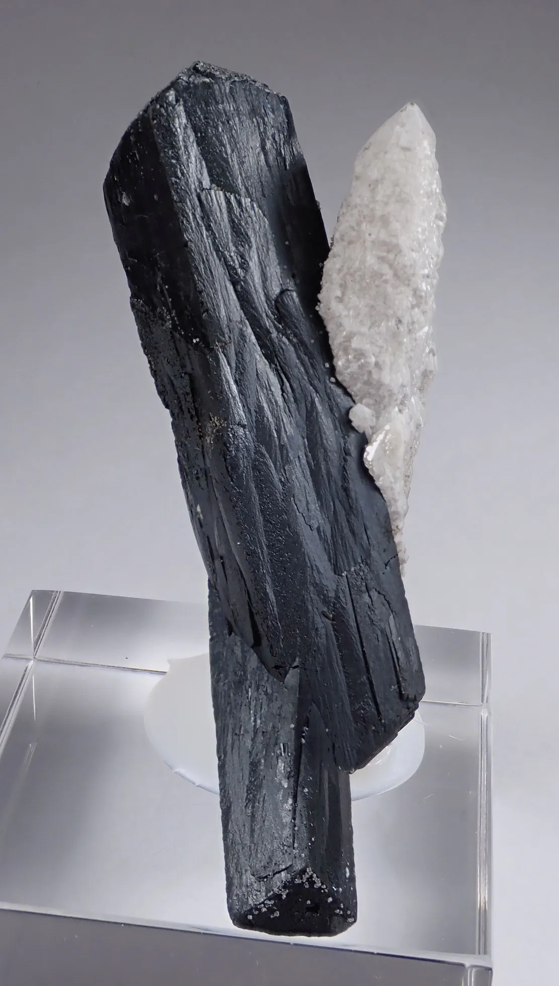 Ilvaite with Quartz - image 3