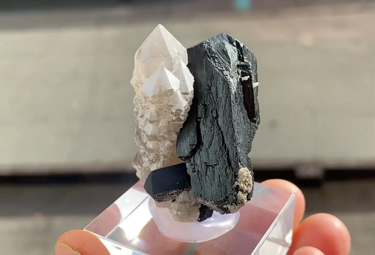 Ilvaite with Quartz - image 5