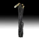 Ilvaite with Quartz - image 1