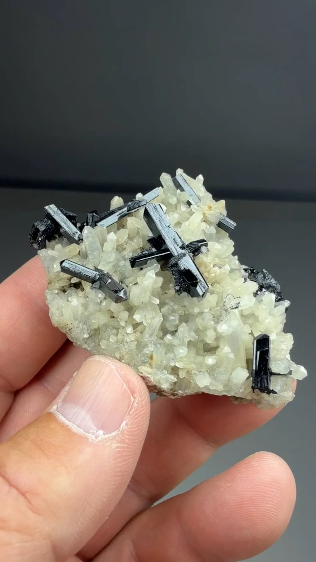 Ilvaite with Quartz (repaired) - image 2