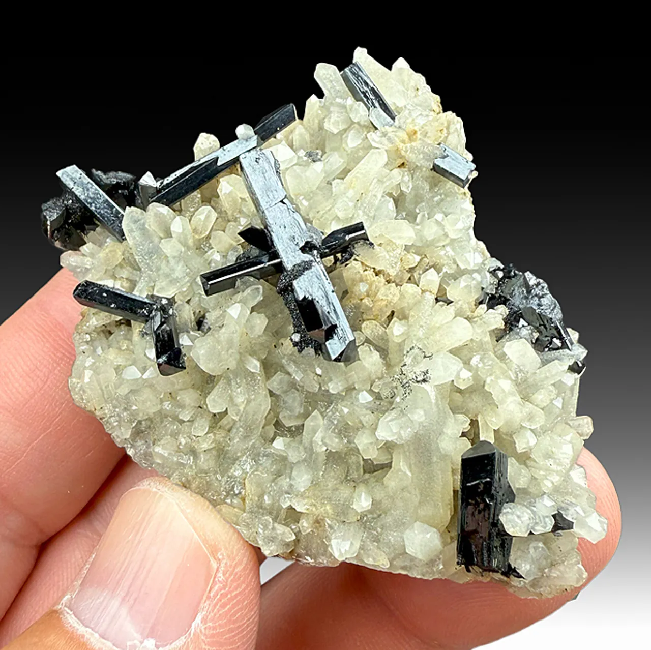 Ilvaite with Quartz (repaired) - image 1