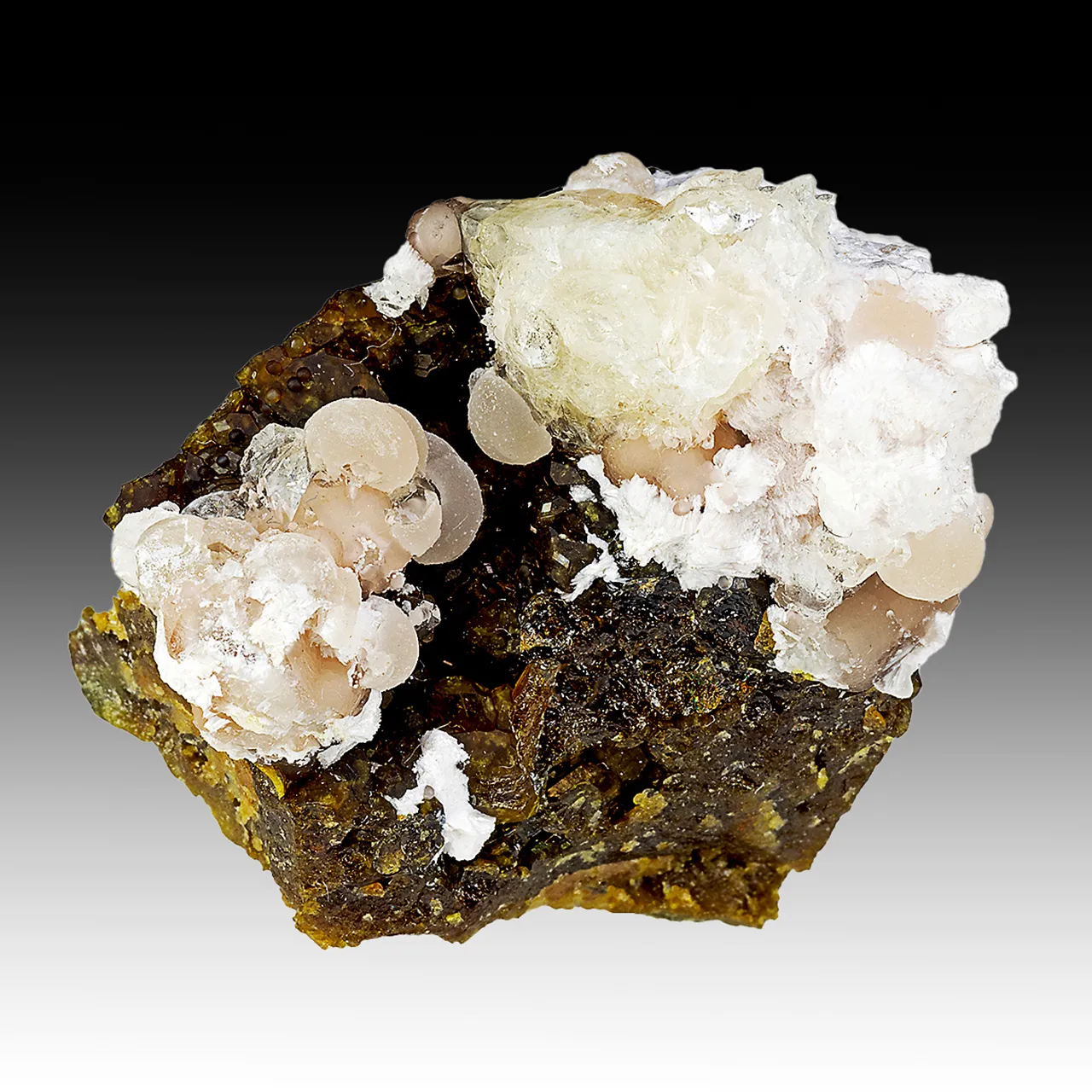 Imayoshiite with Andradite, Bultfonteinite, Shinichengite - image 1