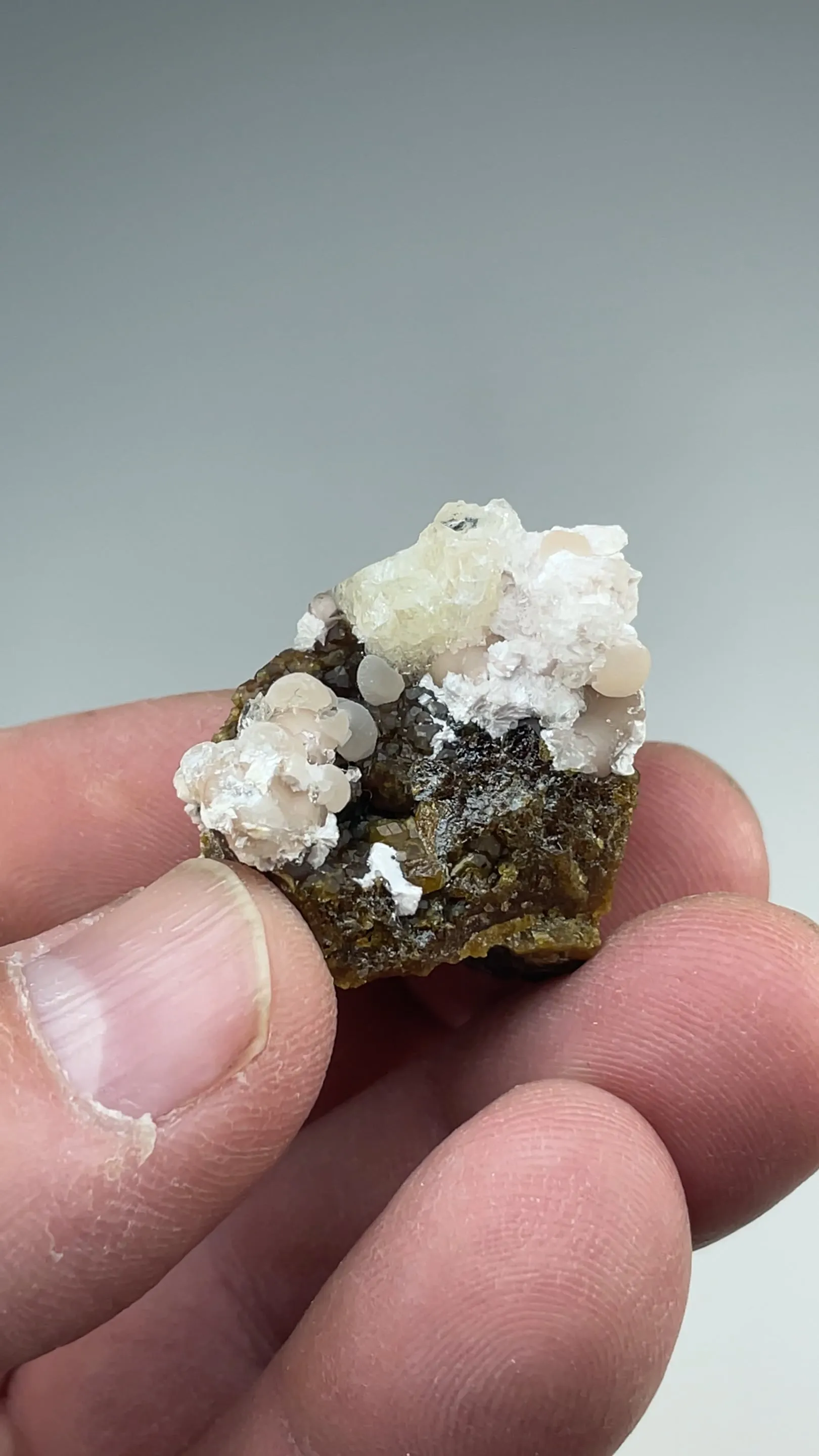 Imayoshiite with Andradite, Bultfonteinite, Shinichengite - image 2