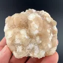 Imayoshiite with Datolite - image 2