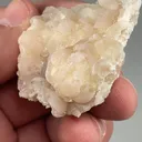 Imayoshiite with Datolite - image 2