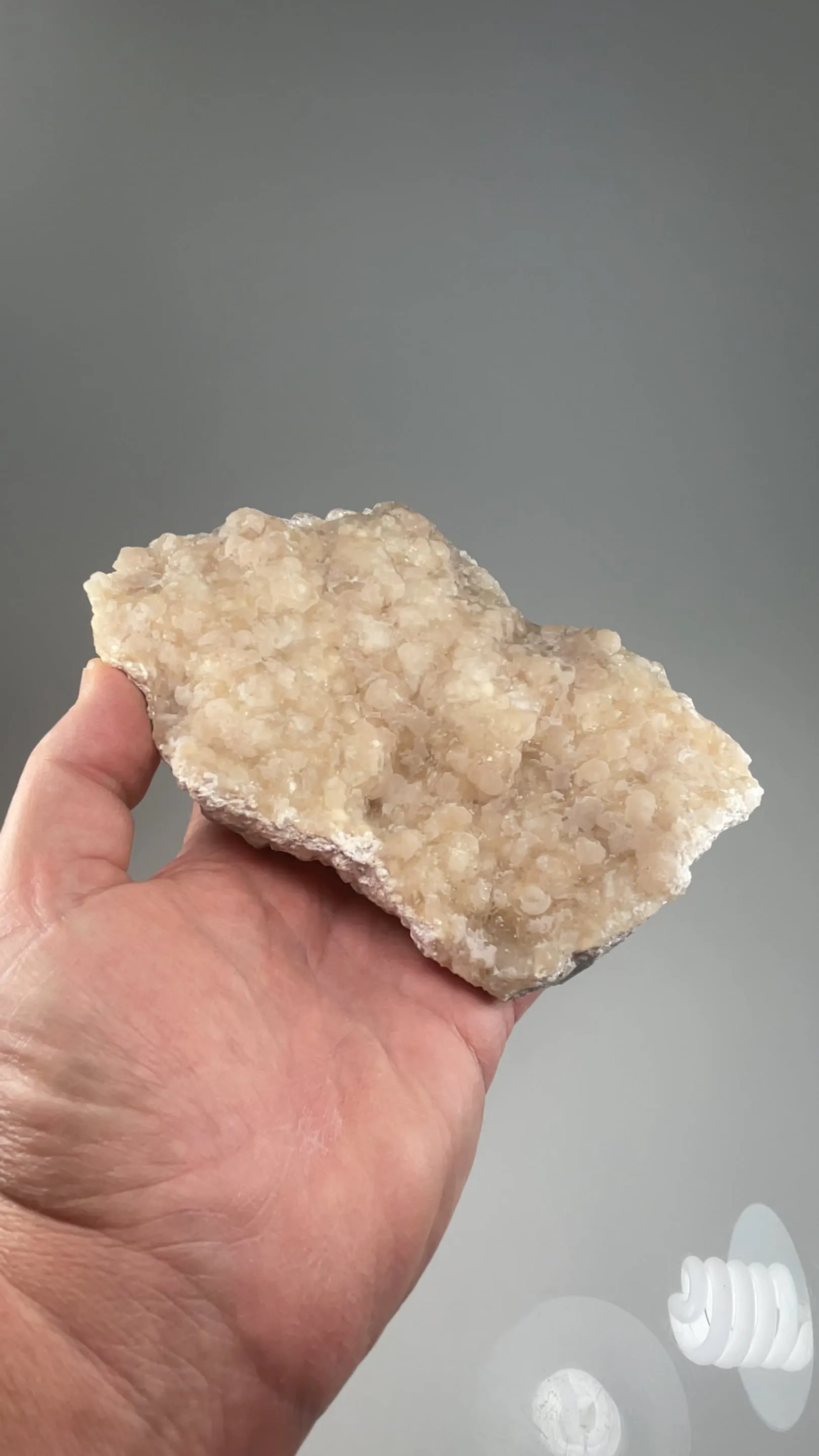 Imayoshiite with Datolite - image 2