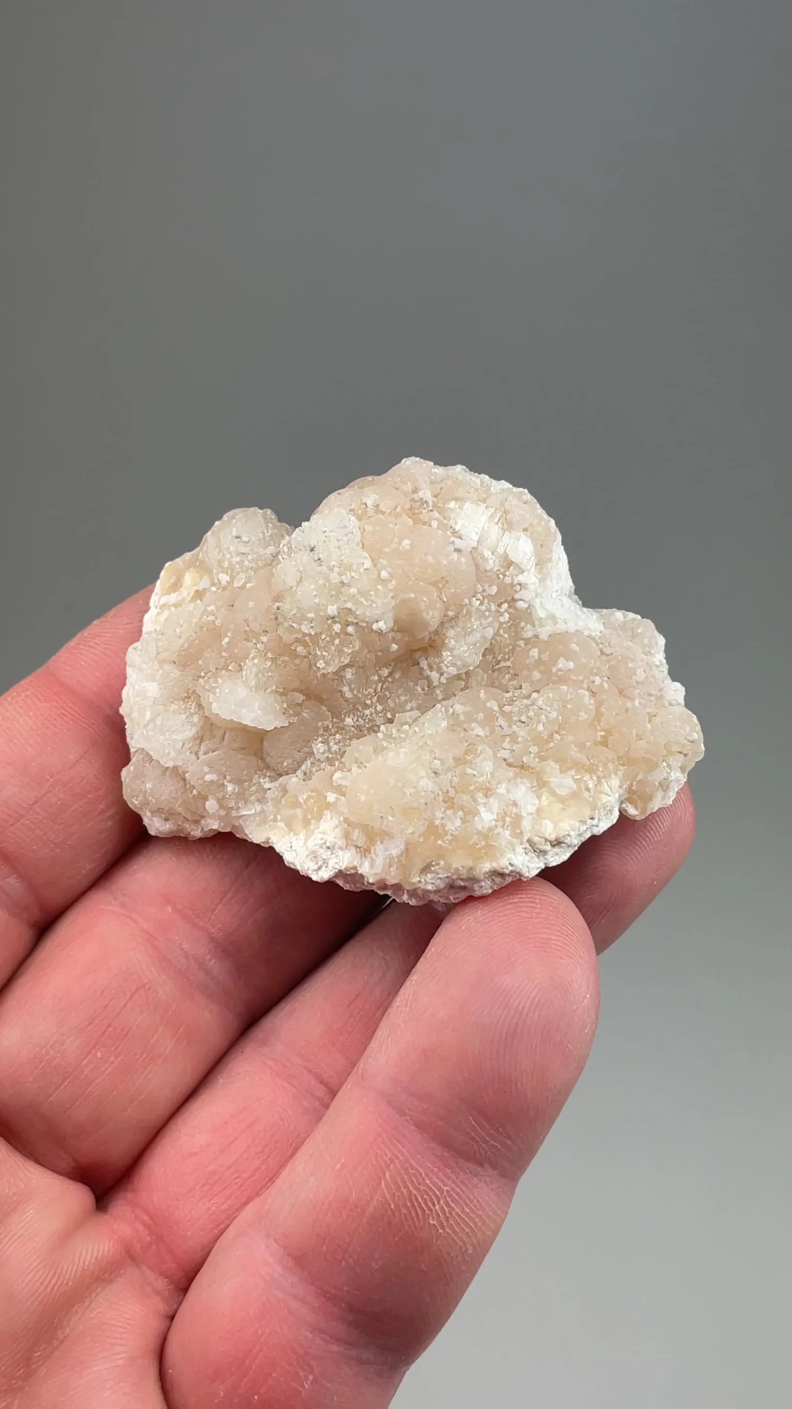 Imayoshiite with Datolite - image 2