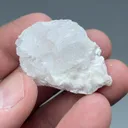 Imayoshiite with Shinichengite, Andradite - image 2