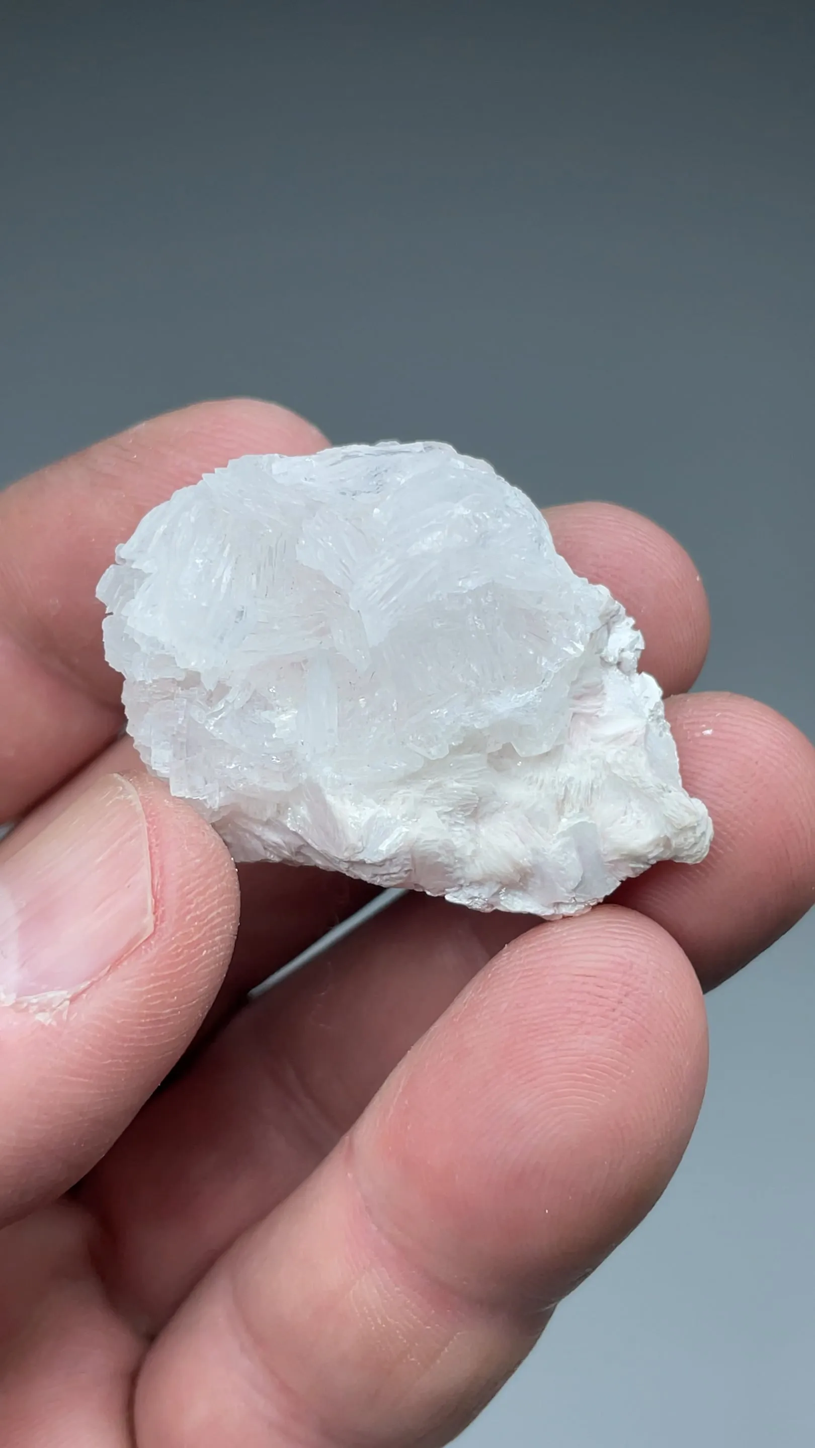 Imayoshiite with Shinichengite, Andradite - image 2