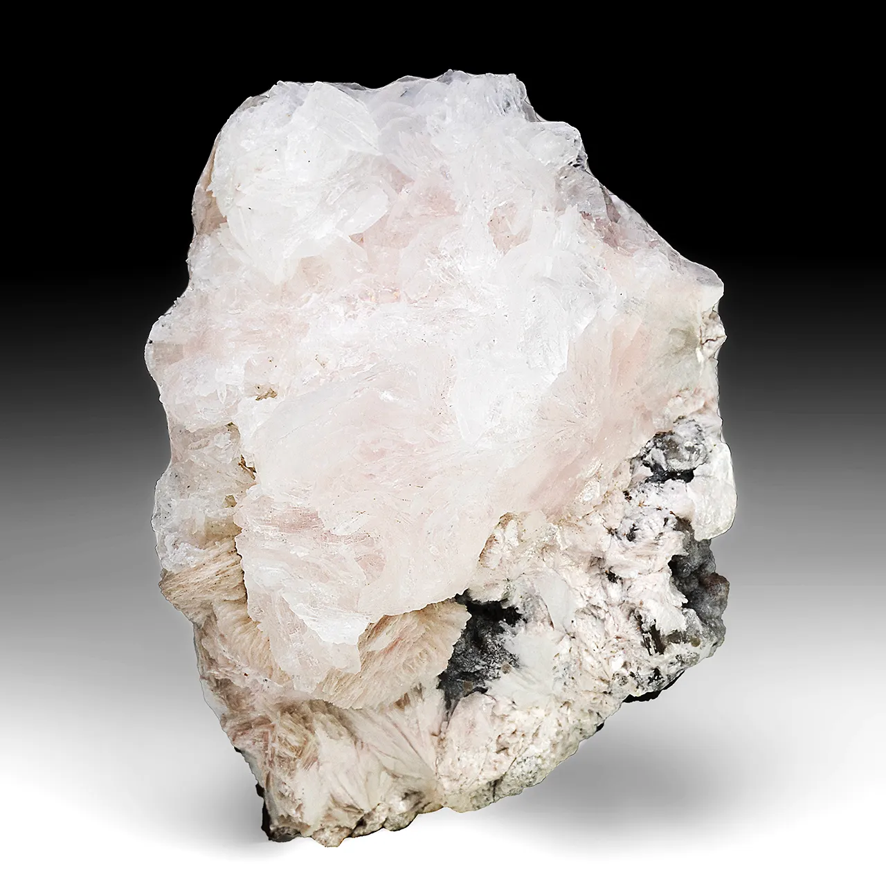 Imayoshiite with Shinichengite, Andradite - image 1