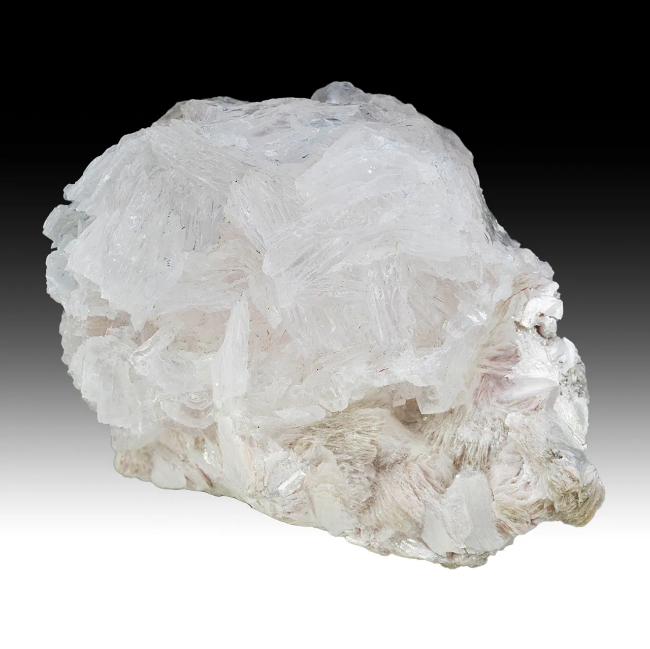 Imayoshiite with Shinichengite, Andradite - image 1