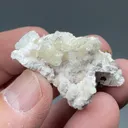 Imayoshiite with Shinichengite, Bultfonteinite, Andradite - image 2