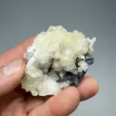 Imayoshiite with Sphalerite - image 2