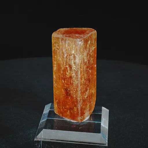 specimen video
