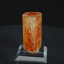 specimen video