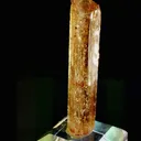 specimen video