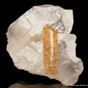 Imperial Topaz on Quartz - image 4
