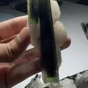 specimen video