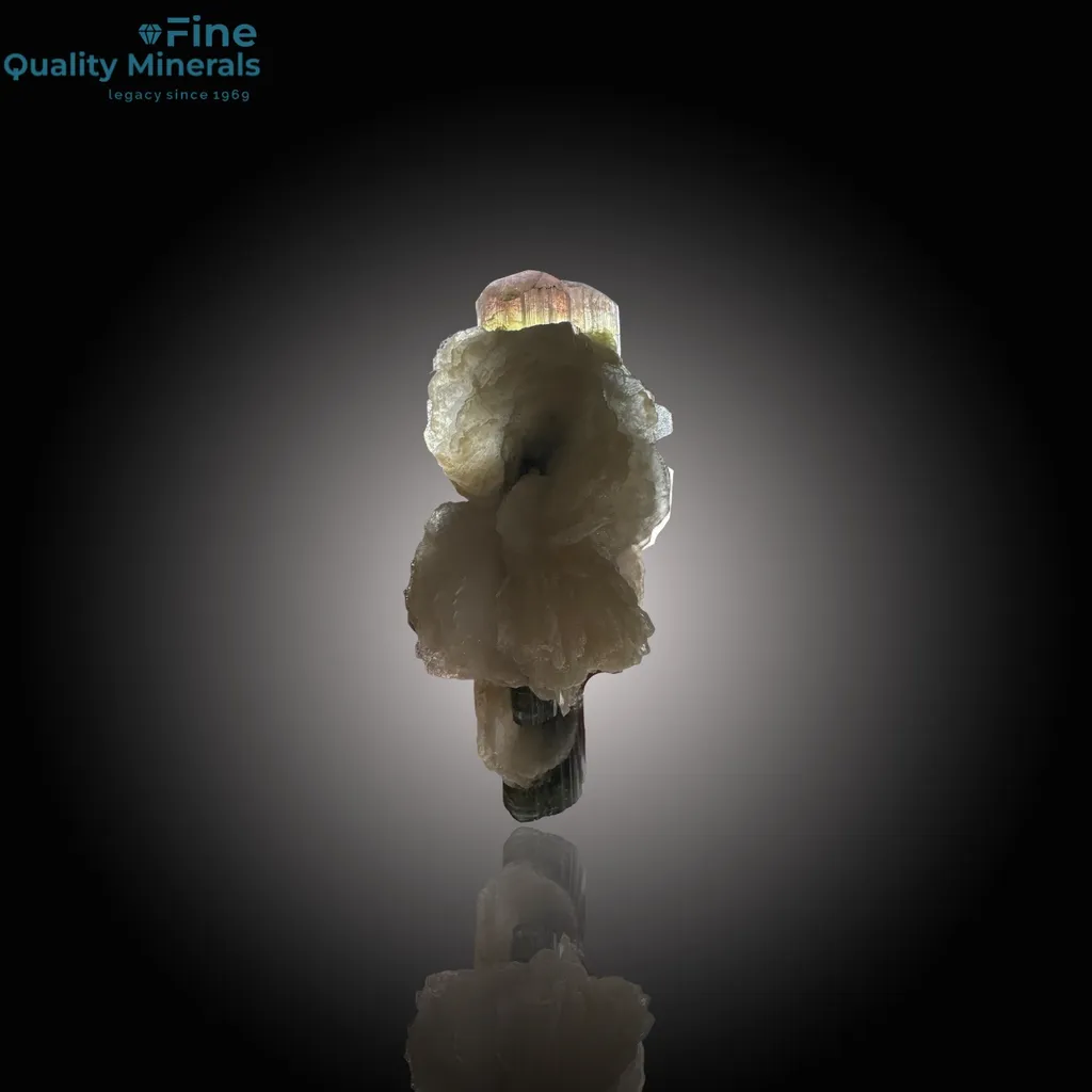 Impressive 9 cm Tourmaline Crystal on Matrix – Unique Specimen - image 2