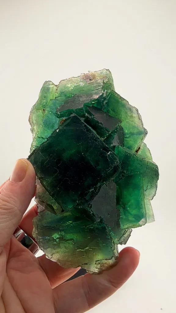 Incredible Okorusu Fluorite 550+ grams - image 2