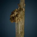 INDERITE with Ulexite - image 3