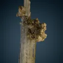 INDERITE with Ulexite - image 2