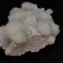 India Maharashtra pune - image 6