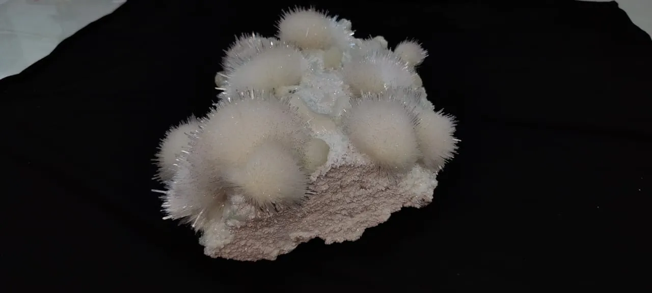 India Maharashtra pune - image 6