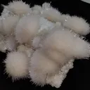 India Maharashtra pune - image 5