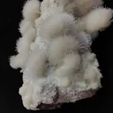 India Maharashtra pune - image 4