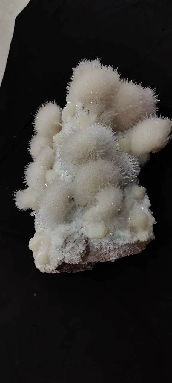 India Maharashtra pune - image 4