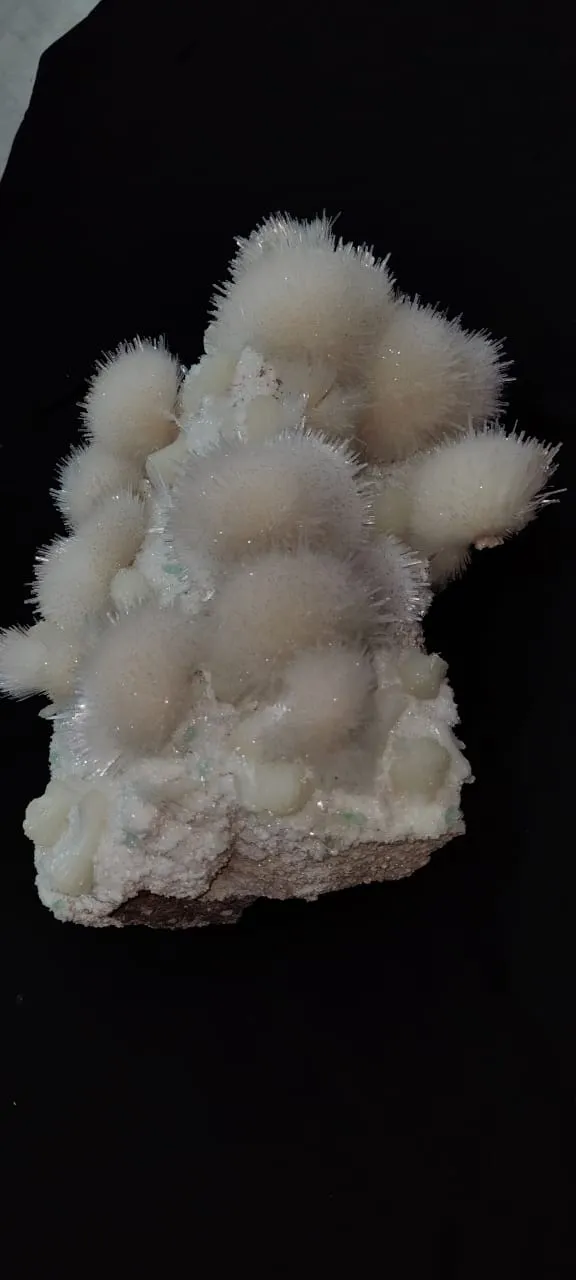 India Maharashtra pune - image 1