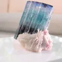 specimen video