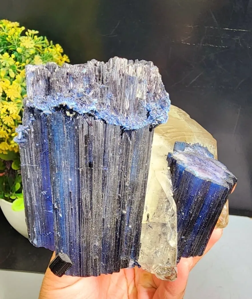Indicolite from Afghanistan, Nuristan, Pachigram pegmatite field - image 4