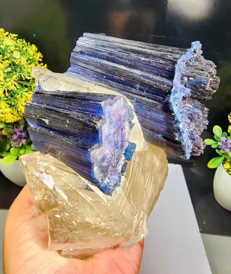 Indicolite from Afghanistan, Nuristan, Pachigram pegmatite field - image 6