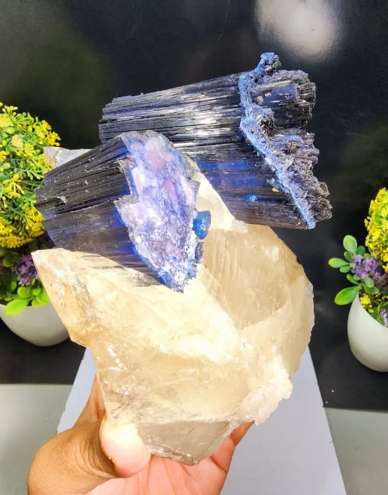 Indicolite from Afghanistan, Nuristan, Pachigram pegmatite field - image 5