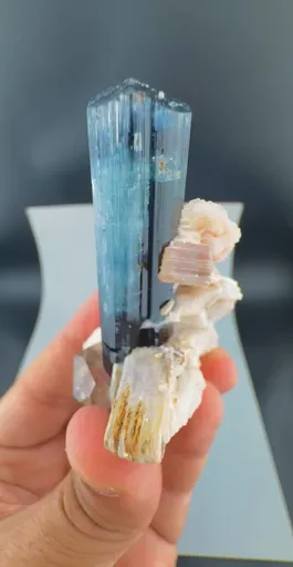 specimen video