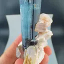 specimen video