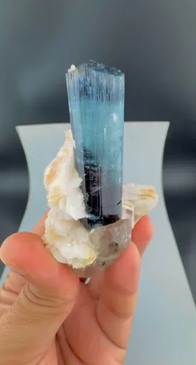 specimen video