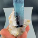 specimen video